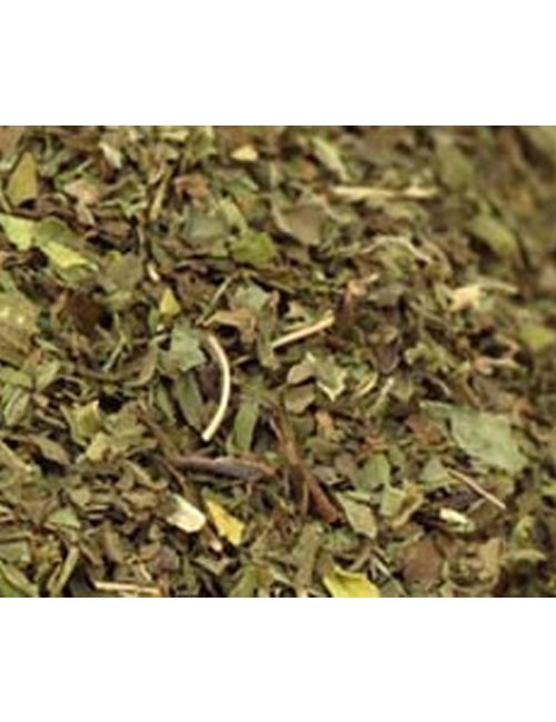 Dehydrated Mint Leaves